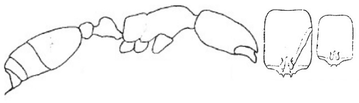 {short description of image}