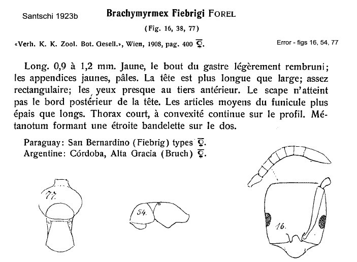 {short description of image}