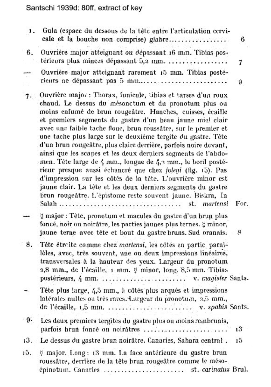 {Camponotus martensi descriptions}