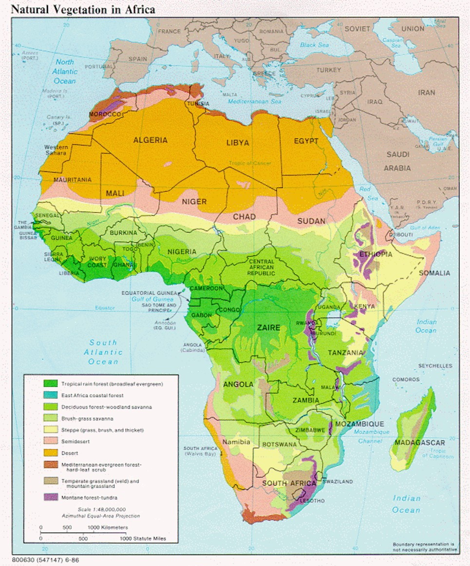 {Africa vegetation}