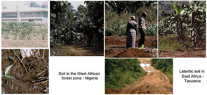 {African soils}