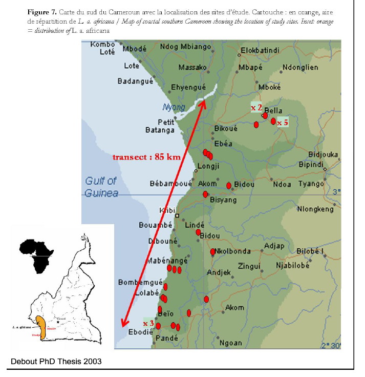 {Debout map of collecting areas}