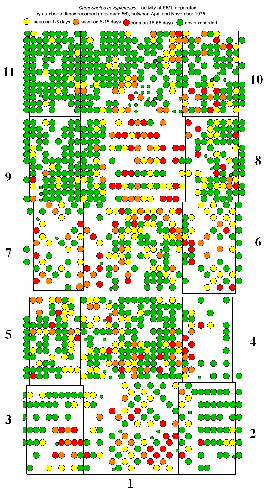 {Camponotus distribution at E 5/1 CRIN 1975}