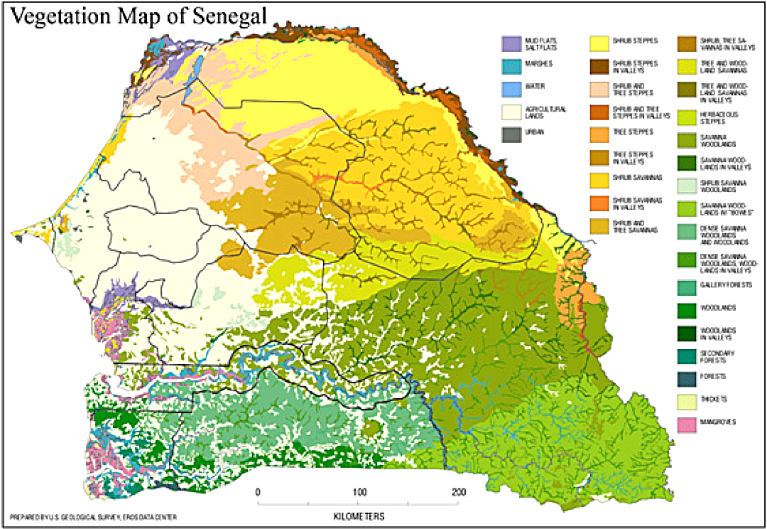 Senegal Vegetation