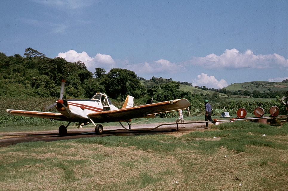 {short description of image}