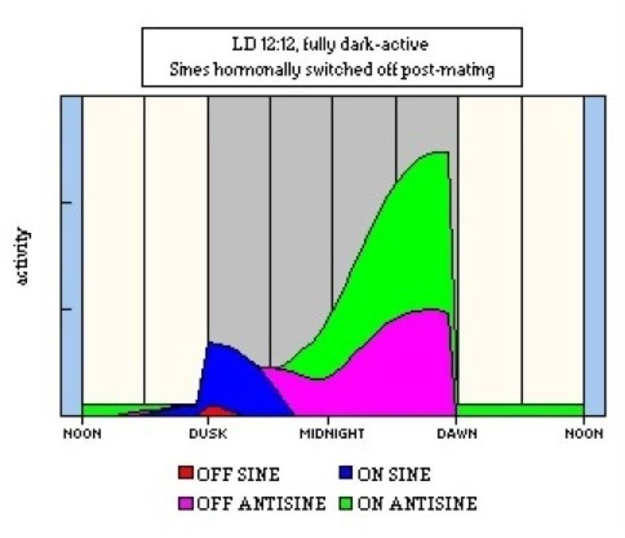 Cumulative Model 2