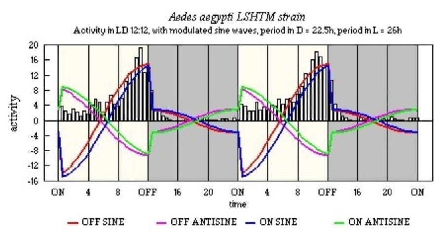 Aedes aegypti LSHTM