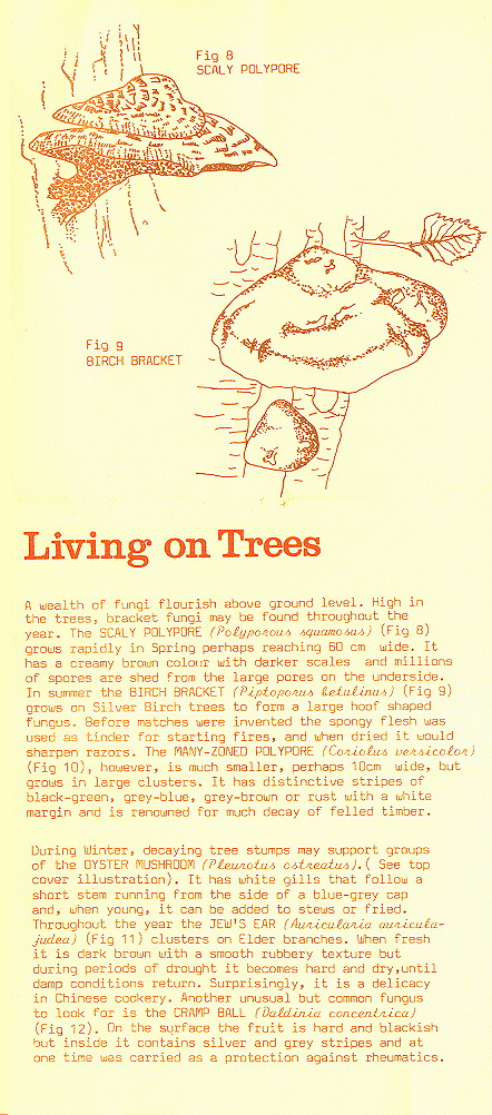 {environment leaflet page 6}