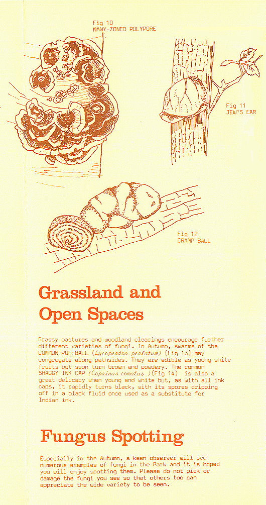 {environment leaflet page 7}