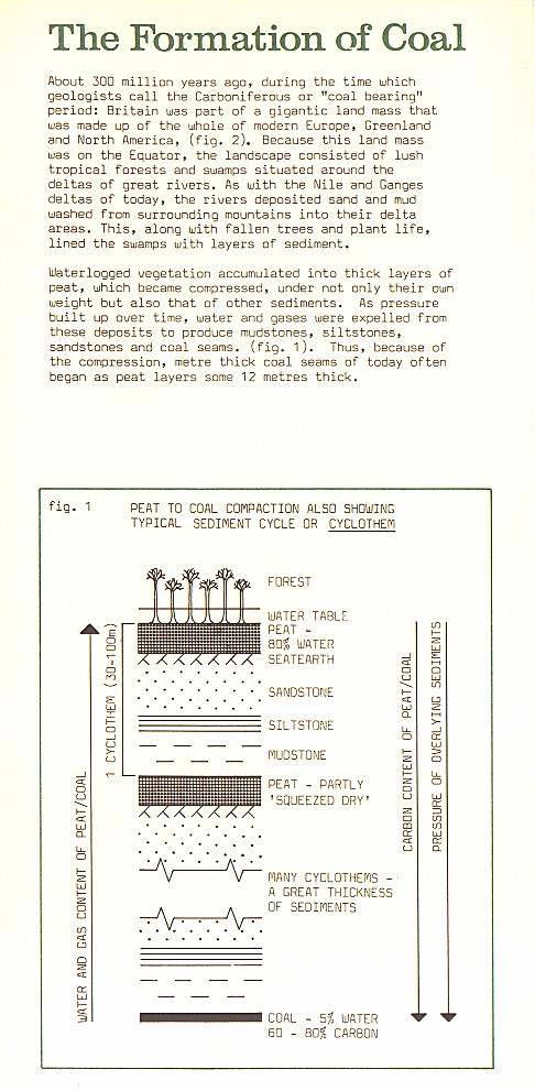 {environment leaflet page 2}