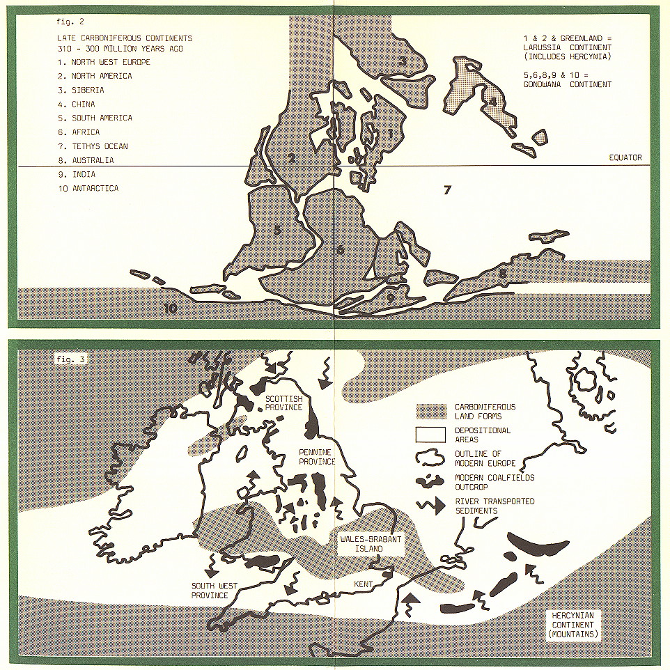 {environment leaflet page 3}