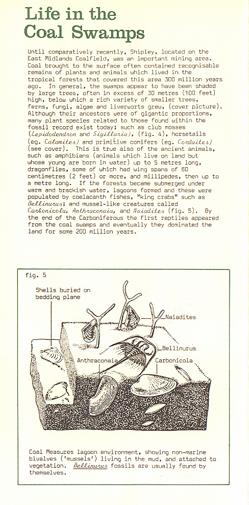 {environment leaflet page 5}