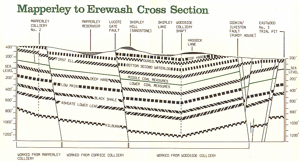 {environment leaflet page 7}