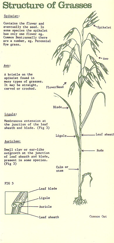 {environment leaflet page 5}