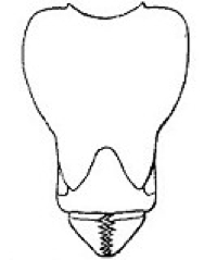 {short description of image}