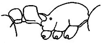 {Tetramorium osiris}