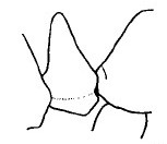 {short description of image}