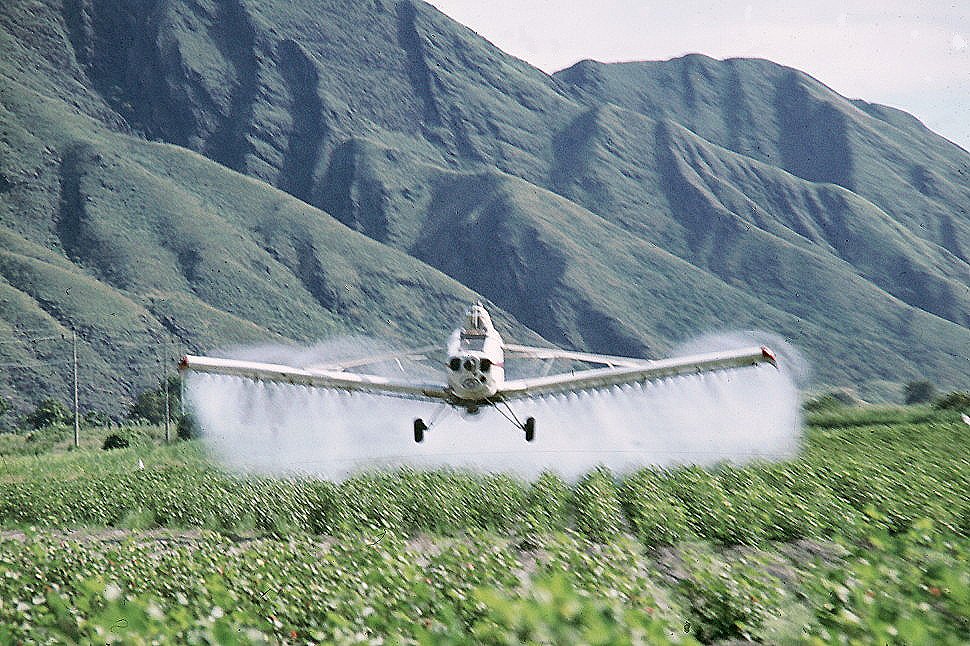 {spraying at La Herradura}