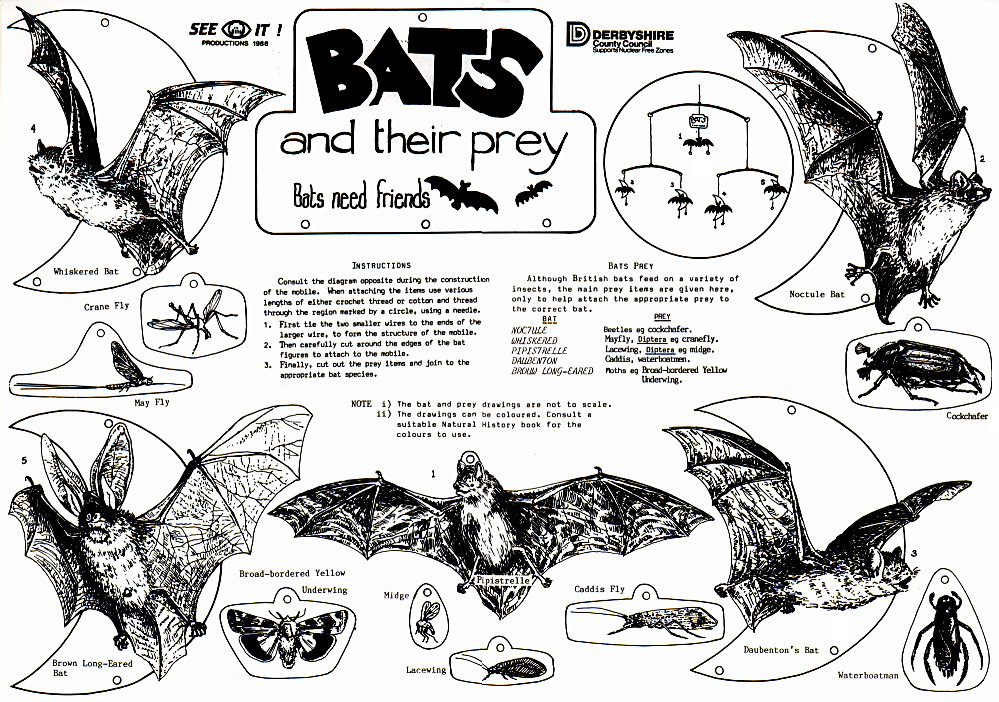 {environment leaflet page 1}